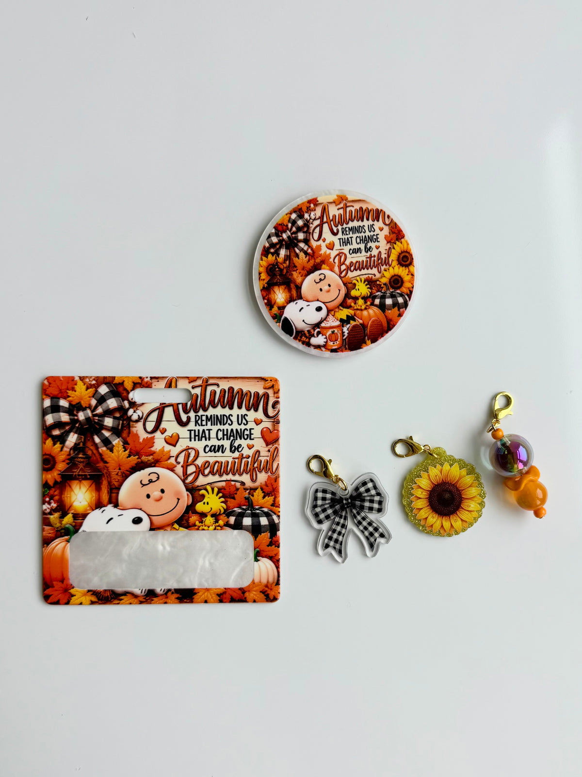 CB Interchangeable Badge Reel